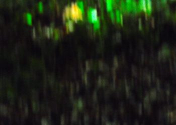 "WALD ABSTRAKT IX"