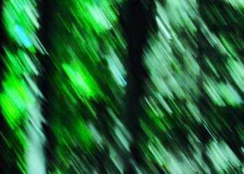 "WALD ABSTRAKT VIII"