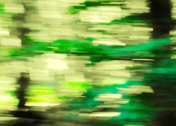 "WALD ABSTRAKT VII"