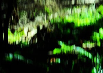 "WALD ABSTRAKT V"