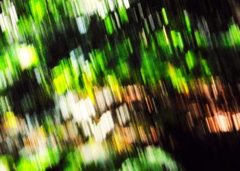 "WALD ABSTRAKT IV"