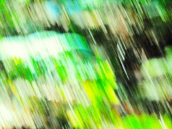 "WALD ABSTRAKT III"
